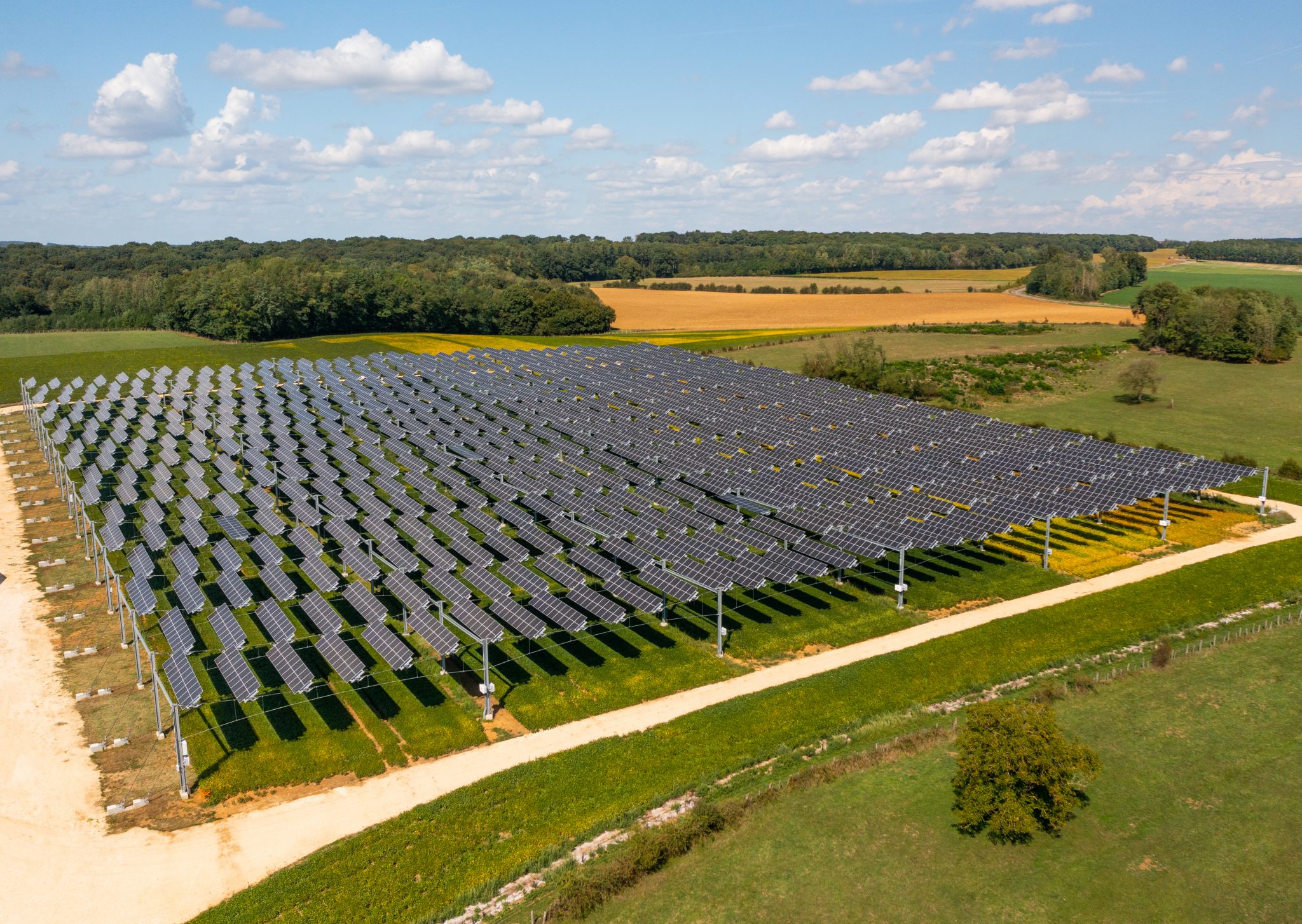 TSE Energy l agrivoltaïque au coeur de projets innovants WE DEMAIN