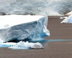 Antarctique : les scientifiques alertent sur un possible point de bascule avec « fonte incontrôlée »