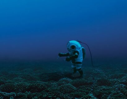 Sylvia Earle