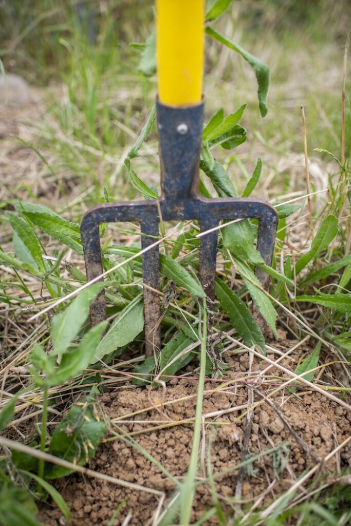 Une agriculture qui respecte et favorise les sols vivants, tel est le credo de Jean-Marie Lioult. Crédit : Jérémy Lempin / WD.