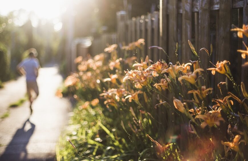 fleurs en ville