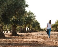 En Espagne, un plan de 12 milliards d’euros d’ici 2027 pour lutter contre la sécheresse