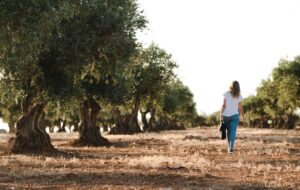 En Espagne, un plan de 12 milliards d’euros d’ici 2027 pour lutter contre la sécheresse