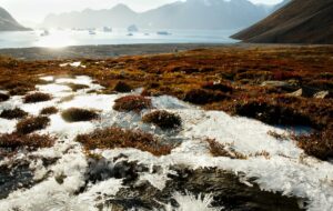 Fonte du permafrost et déforestation… toujours plus de méthane libéré dans l’air