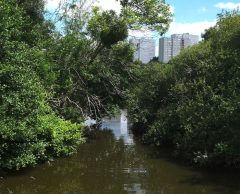 Nantes, le cap vert pour un nouveau mode de ville