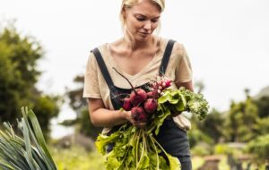 La légèreté dans nos assiettes : vers une gastronomie plus durable