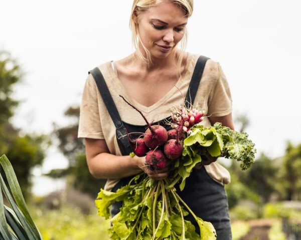 La légèreté dans nos assiettes : vers une gastronomie plus durable