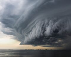 Cycle de l’eau : connaissez-vous ces bactéries qui font la pluie (et le beau temps) ?