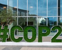 COP29 : financements, crédits carbone et contradictions