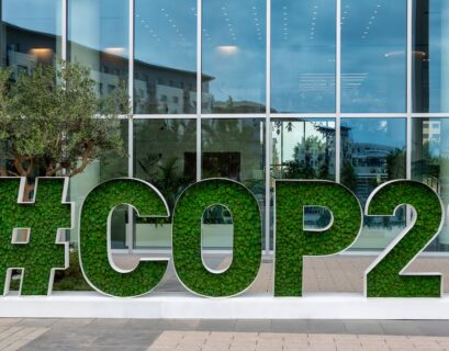 COP29