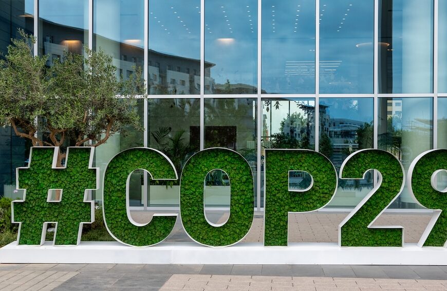 COP29