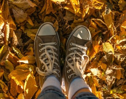 feuilles mortes