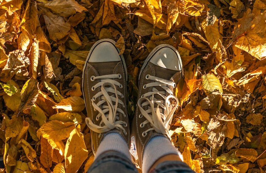 feuilles mortes