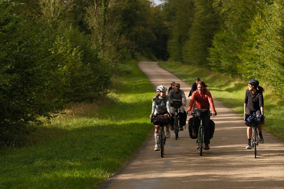 forêt vélo ter break