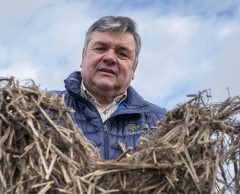 Et si le chanvre était la clé d’une agriculture durable en France ?