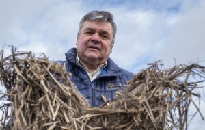 Et si le chanvre était la clé d’une agriculture durable en France ?