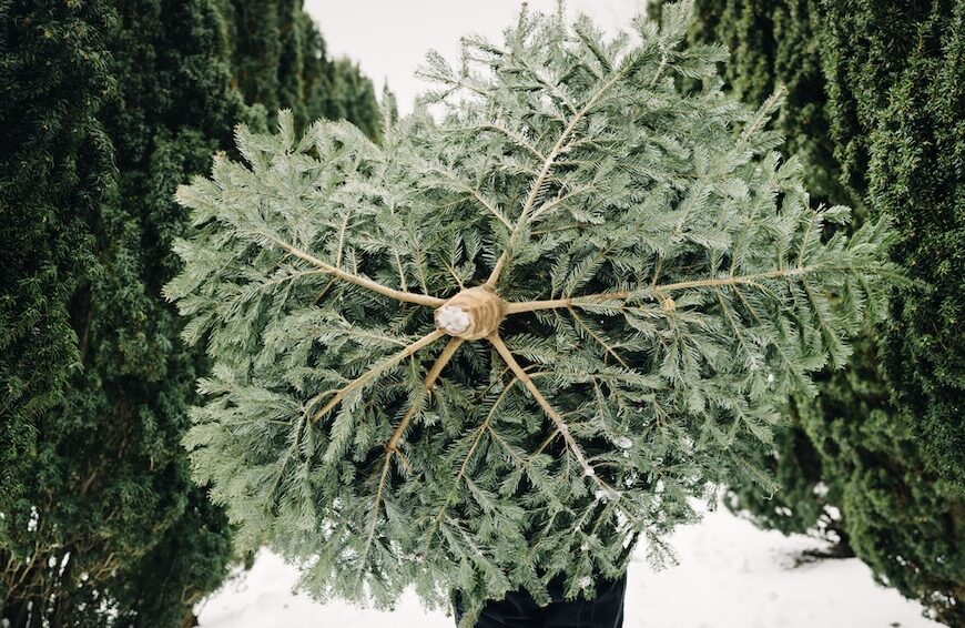 sapin de Noël