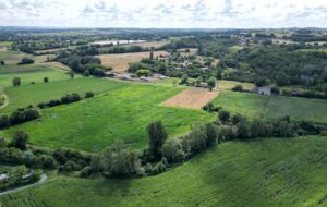 La haie, une veine verte où bat la vie