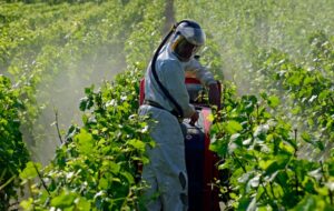 Pesticides : deux cartes choc qui révèlent votre exposition selon où vous habitez