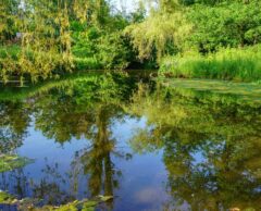 Franchir le fossé vert