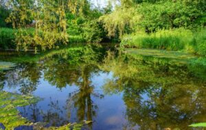 Franchir le fossé vert