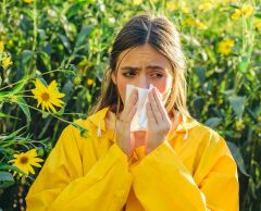 Allergies aux pollens : un fléau sous-estimé qui s’aggrave avec le climat