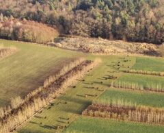 Régénérer en grand : le pari réussi de deux pionniers de l’agriculture régénérative