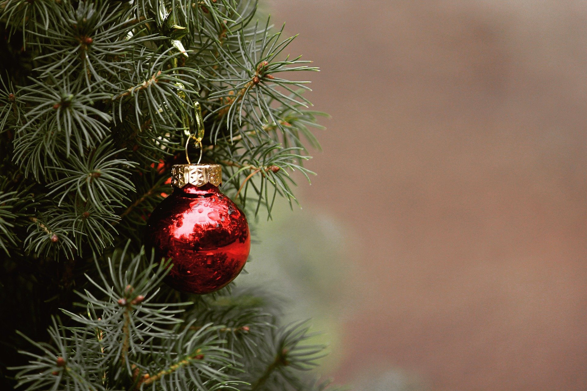 À quoi servent les décorations de Noël ?
