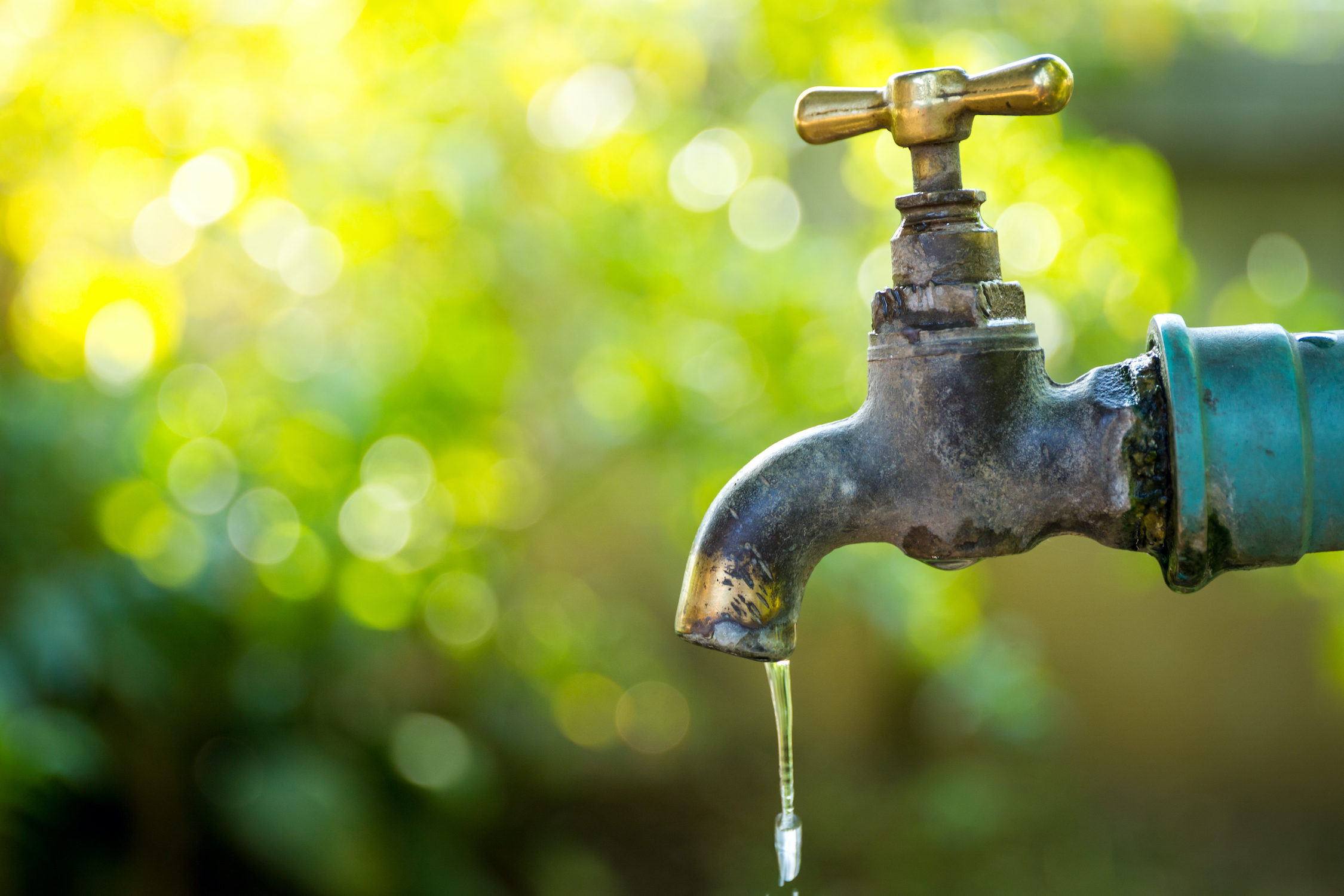Douze solutions pour économiser l'eau - WE DEMAIN